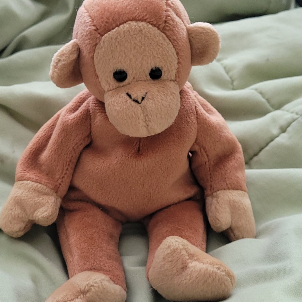 Ty pongo the monkey